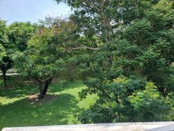 Jalan Sempadan (D15), Terrace #544748221